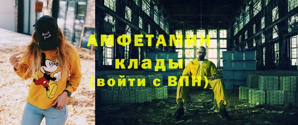 ECSTASY Алзамай