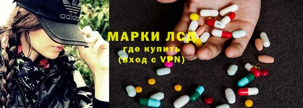 ECSTASY Алзамай