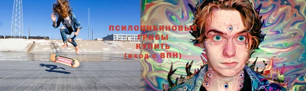 ECSTASY Алзамай